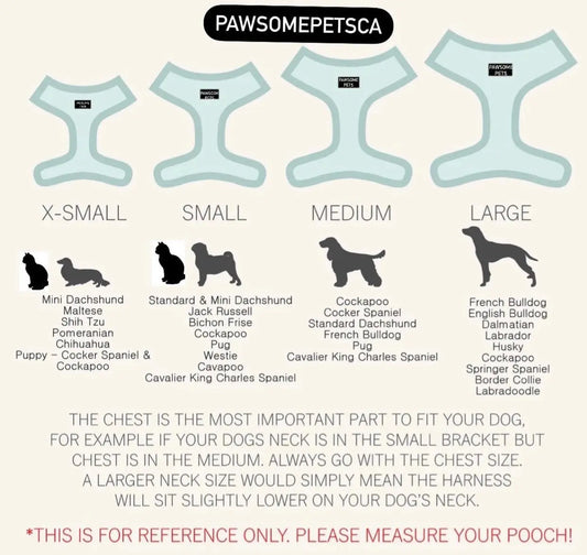 ADJUSTABLE HARNESS - AQUAMARINE PAWSOME PETS