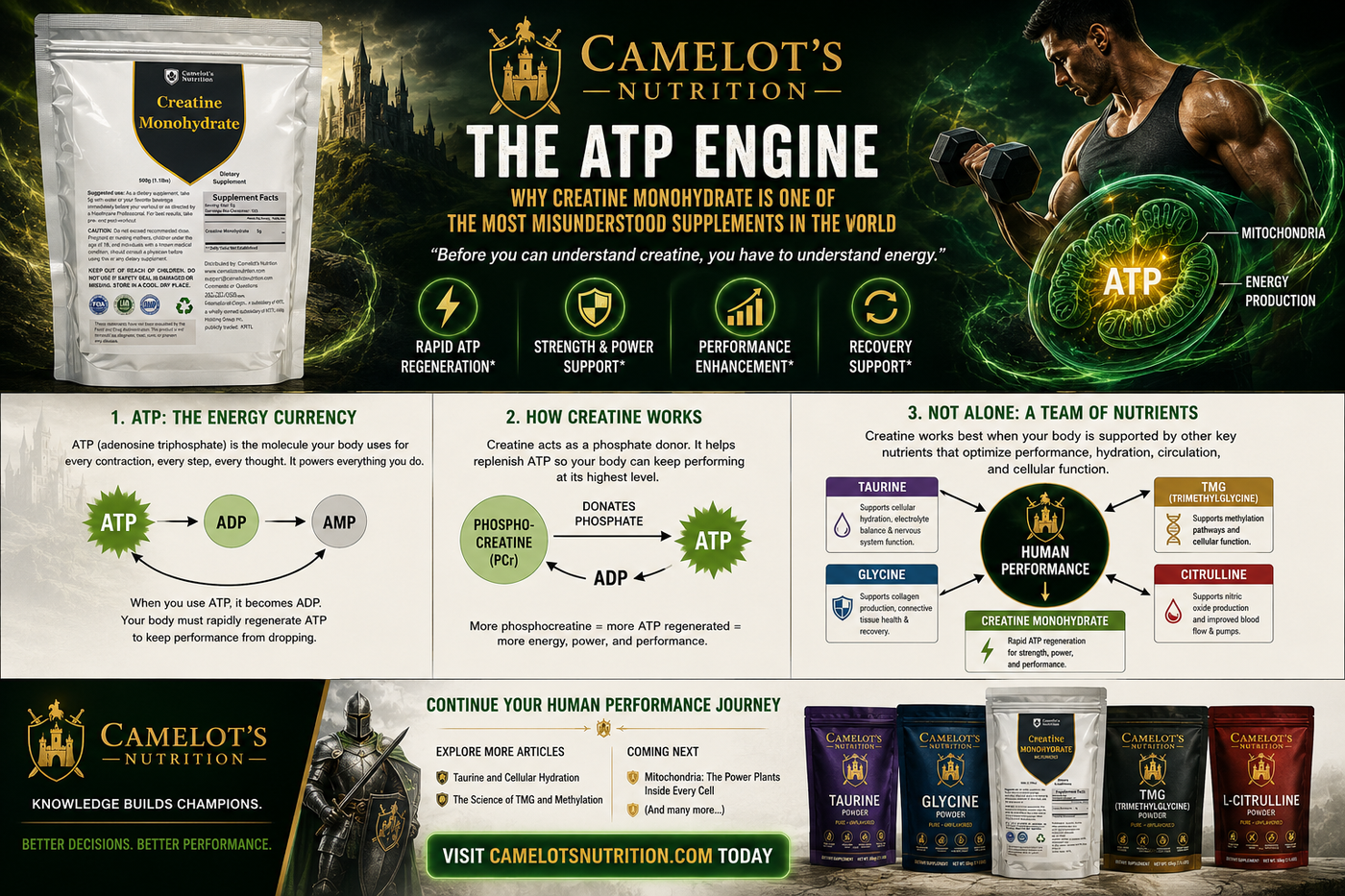 The ATP Engine: Why Creatine Monohydrate Is One of the Most Misunderstood Supplements in the World "Before you can understand creatine, you have to understand energy."