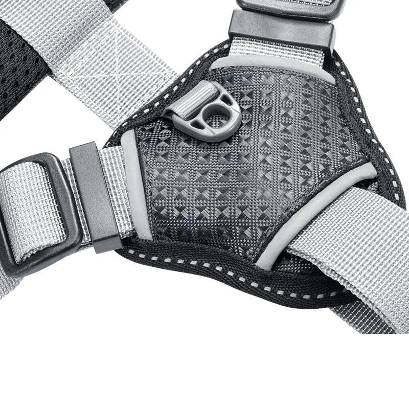 Stylish Polyester Dog Leash Collar - Perfect For Small Dogs! Dog Hugs Cat