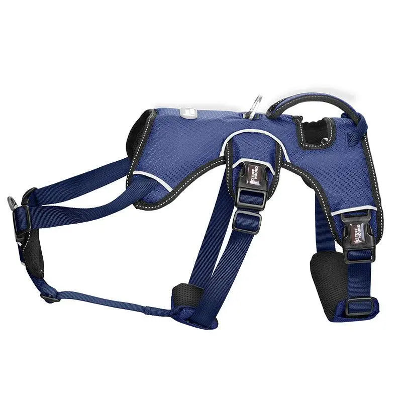 Stylish Polyester Dog Leash Collar - Perfect For Small Dogs! Dog Hugs Cat