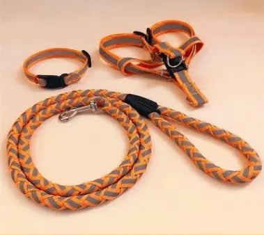 Ultimate Comfort Dog Leash-2