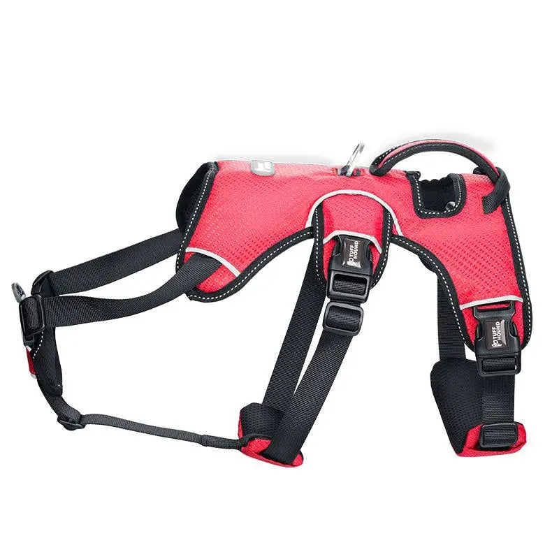 Stylish Polyester Dog Leash Collar - Perfect For Small Dogs! Dog Hugs Cat