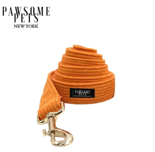 LEASH - LIGHT ORANGE PAWSOME PETS