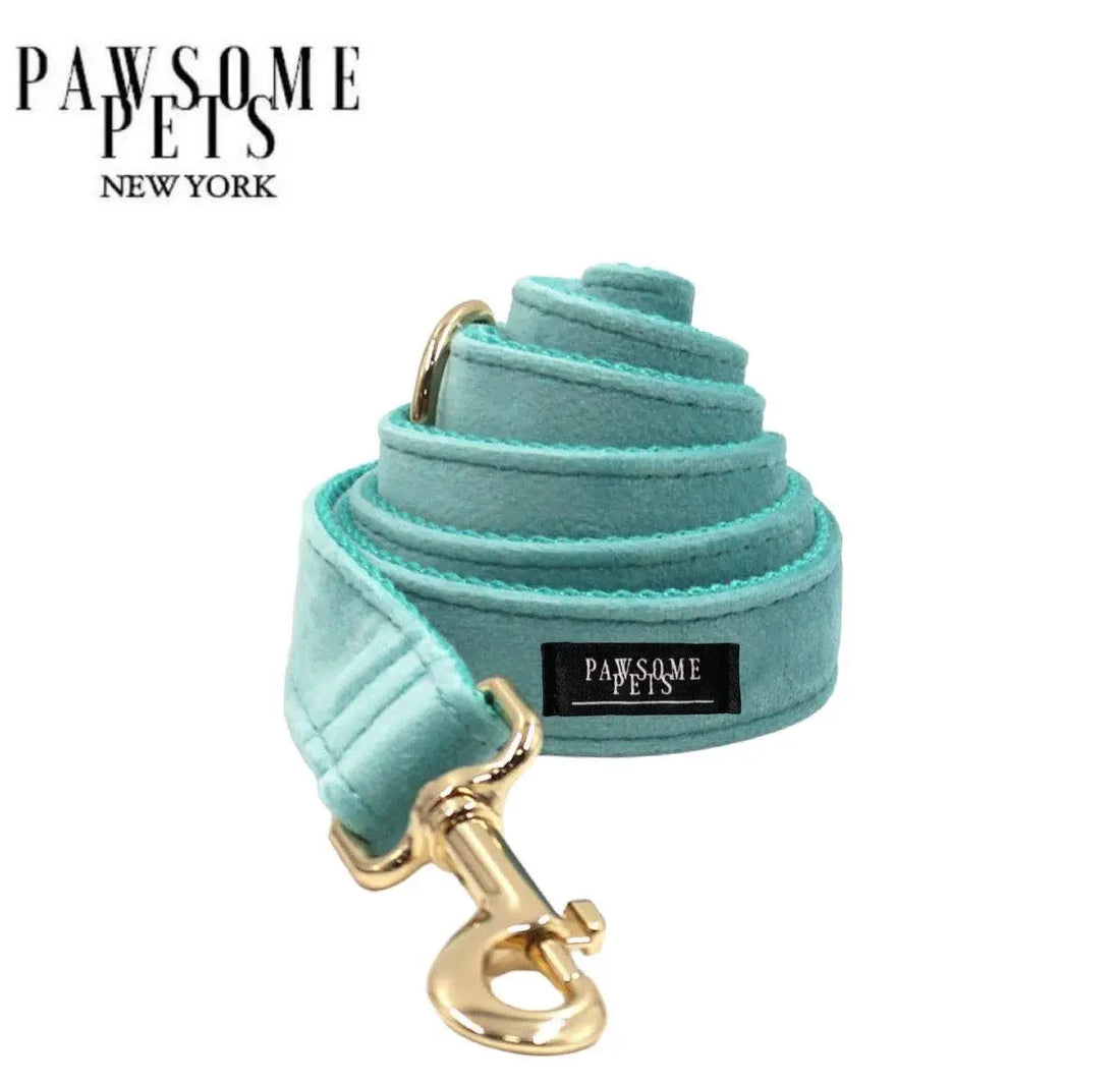 LEASH - RIVER BLUE PAWSOME PETS