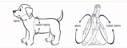 STEP IN BUNDLE - RAINBOW (5 PIECES) PAWSOME PETS