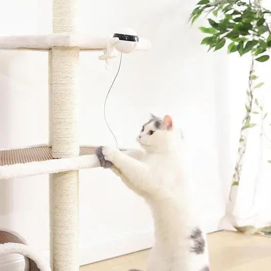Original YOYO Teaser For Cats Woof & Meow