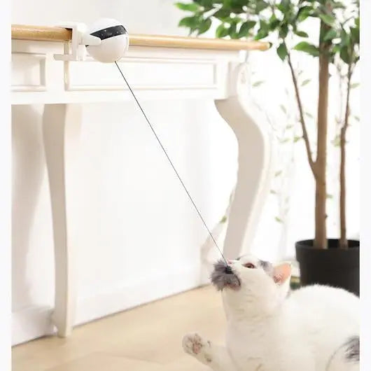 Original YOYO Teaser For Cats Woof & Meow