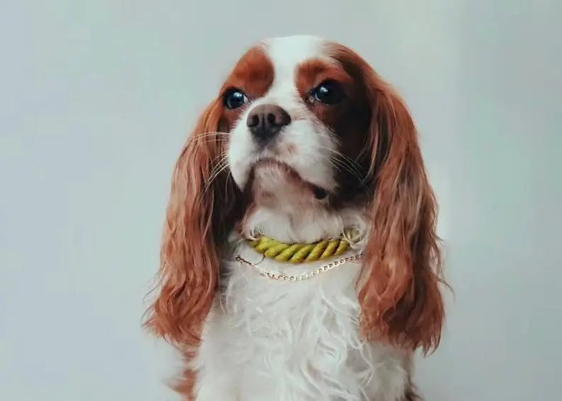 Luxe Royal Leather Rope Collar - Cotton Candy PAWSOME PETS
