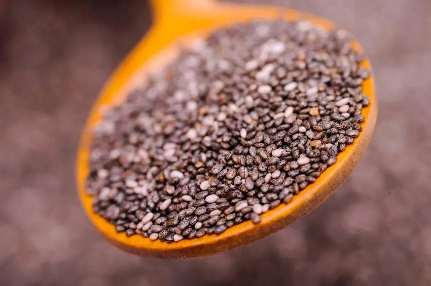 100% Organic Black Chia Seeds - 1lb Karmalize.Me