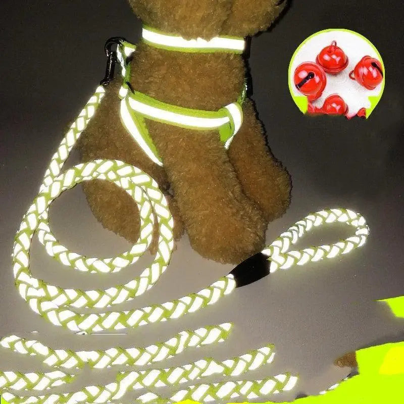 Ultimate Comfort Dog Leash-0